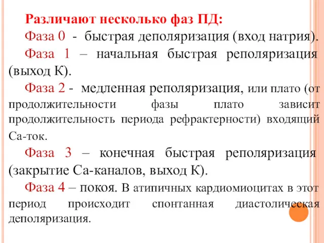 Различают несколько фаз ПД: Фаза 0 - быстрая деполяризация (вход