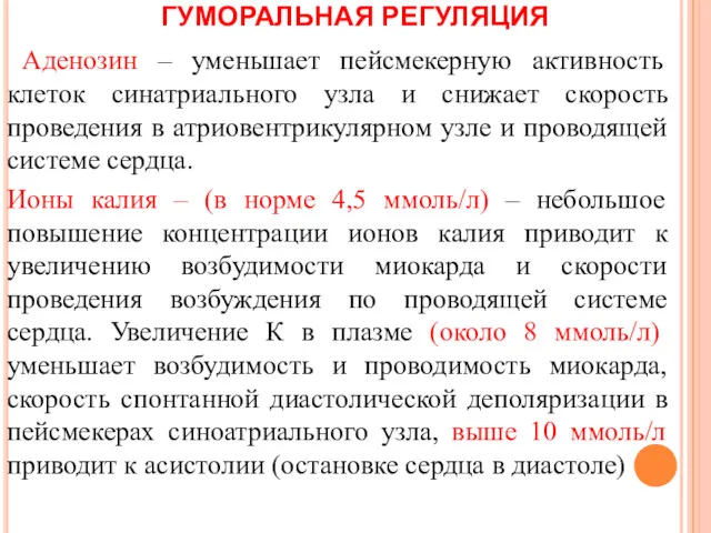 ГУМОРАЛЬНАЯ РЕГУЛЯЦИЯ Аденозин – уменьшает пейсмекерную активность клеток синатриального узла