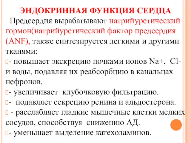 ЭНДОКРИННАЯ ФУНКЦИЯ СЕРДЦА - Предсердия вырабатывают натрийуретический гормон(натрийуретический фактор предсердия