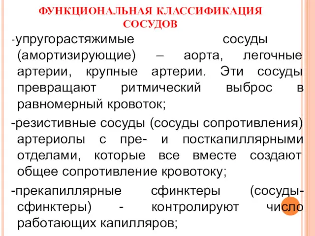 ФУНКЦИОНАЛЬНАЯ КЛАССИФИКАЦИЯ СОСУДОВ -упругорастяжимые сосуды (амортизирующие) – аорта, легочные артерии,