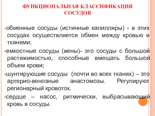 ФУНКЦИОНАЛЬНАЯ КЛАССИФИКАЦИЯ СОСУДОВ -обменные сосуды (истинные капилляры) - в этих