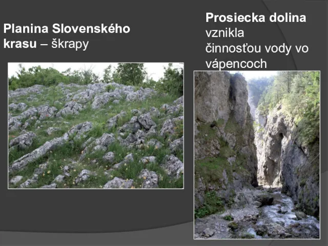 Planina Slovenského krasu – škrapy Prosiecka dolina vznikla činnosťou vody vo vápencoch
