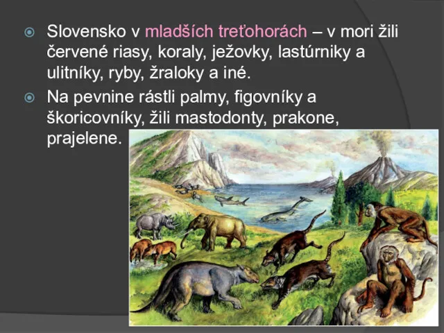 Slovensko v mladších treťohorách – v mori žili červené riasy,