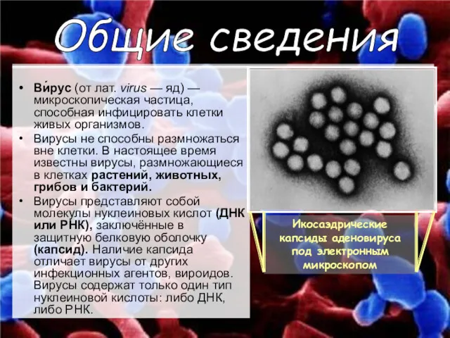 Ви́рус (от лат. virus — яд) — микроскопическая частица, способная