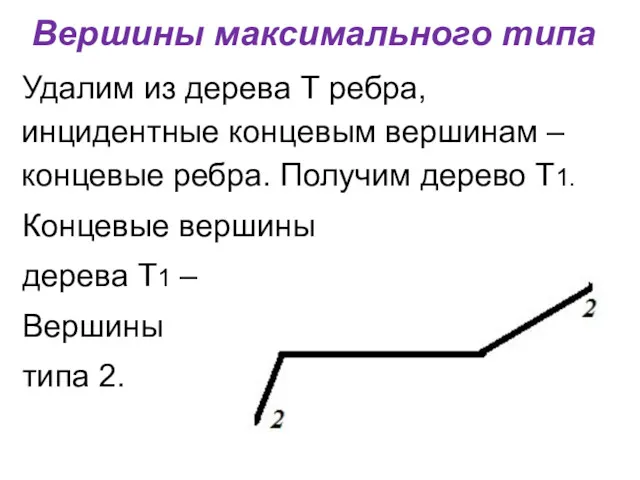 Вершины максимального типа Удалим из дерева Т ребра, инцидентные концевым