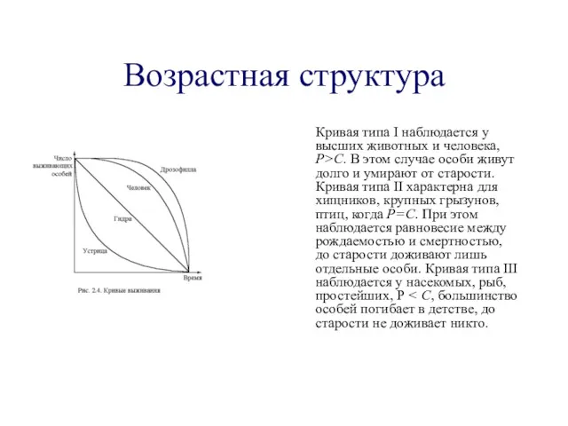 Возрастная структура Кривая типа I наблюдается у высших животных и