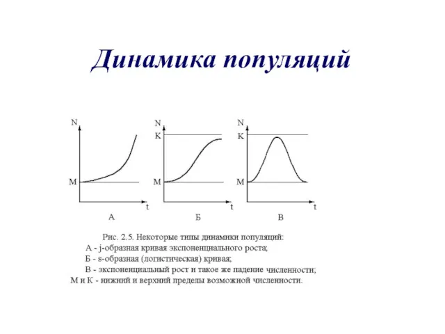 Динамика популяций