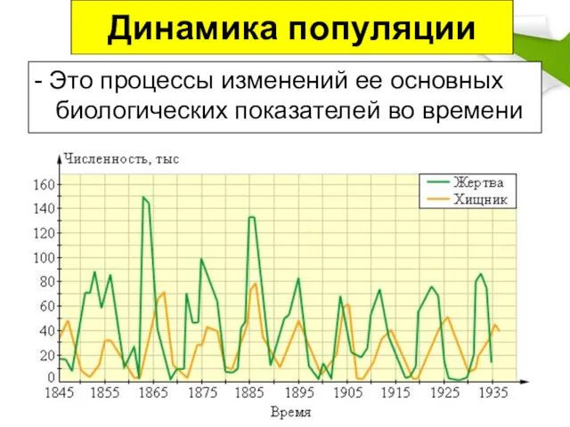 Динамика популяции - Это процессы изменений ее основных биологических показателей во времени