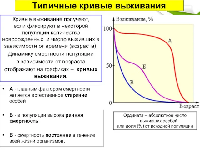 Типичные кривые выживания А - главным фактором смертности является естественное