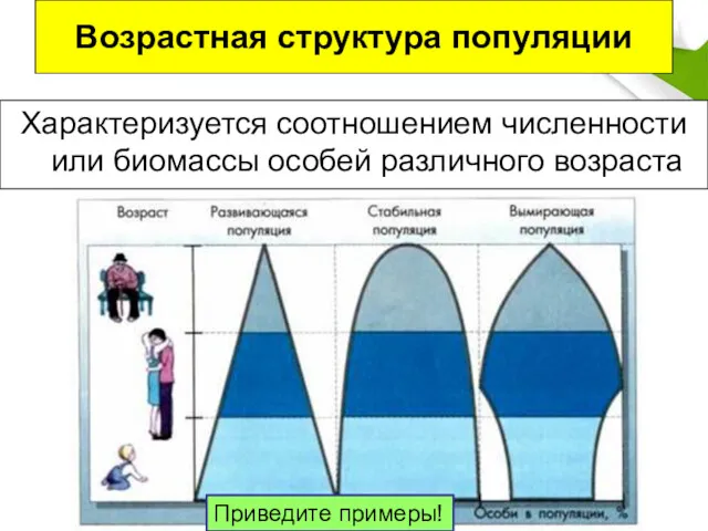 Возрастная структура популяции Характеризуется соотношением численности или биомассы особей различного возраста Приведите примеры!