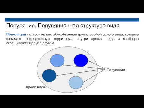 Популяция. Популяционная структура вида Популяция - относительно обособленная группа особей