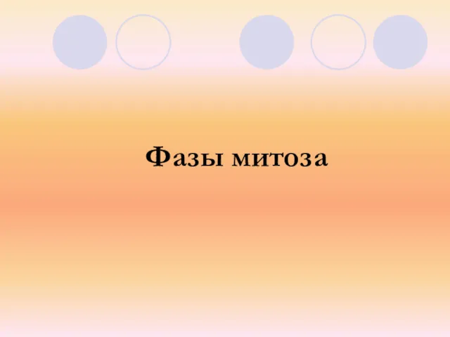 Фазы митоза