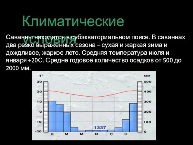 Климатические условия Саванны находятся в субэкваториальном поясе. В саваннах два