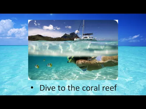 Dive to the coral reef