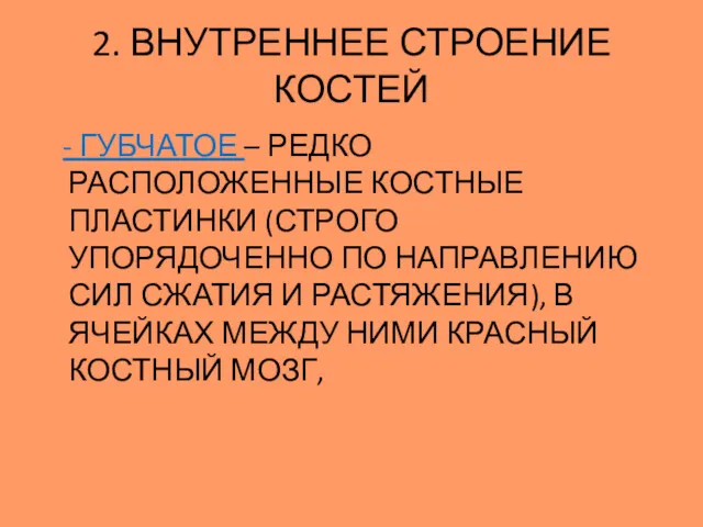 - ГУБЧАТОЕ – РЕДКО РАСПОЛОЖЕННЫЕ КОСТНЫЕ ПЛАСТИНКИ (СТРОГО УПОРЯДОЧЕННО ПО