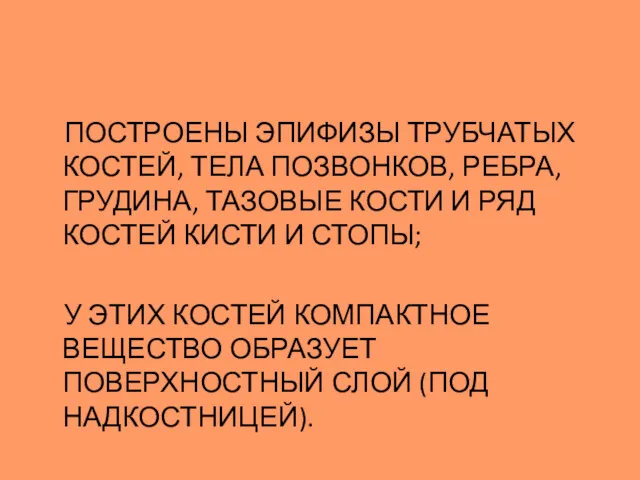 ПОСТРОЕНЫ ЭПИФИЗЫ ТРУБЧАТЫХ КОСТЕЙ, ТЕЛА ПОЗВОНКОВ, РЕБРА, ГРУДИНА, ТАЗОВЫЕ КОСТИ