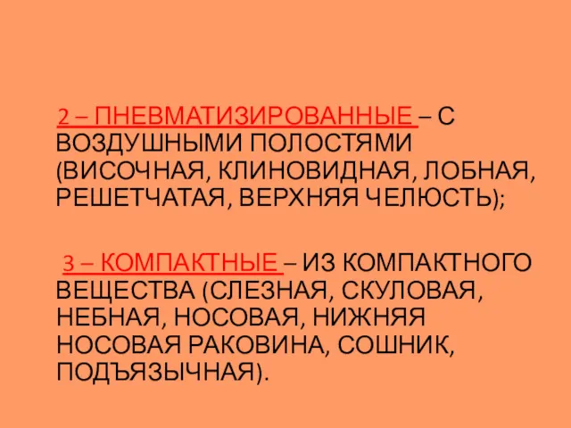 2 – ПНЕВМАТИЗИРОВАННЫЕ – С ВОЗДУШНЫМИ ПОЛОСТЯМИ (ВИСОЧНАЯ, КЛИНОВИДНАЯ, ЛОБНАЯ,