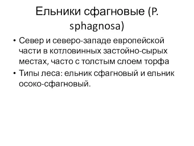 Ельники сфагновые (P. sphagnosa) Север и северо-западе европейской части в котловинных застойно-сырых местах,