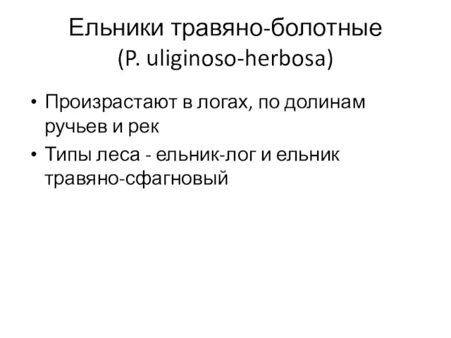 Ельники травяно-болотные (P. uliginoso-herbosa) Произрастают в логах, по долинам ручьев и рек Типы