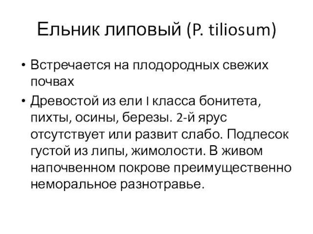 Ельник липовый (P. tiliosum) Встречается на плодородных свежих почвах Древостой из ели I