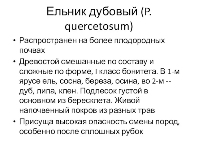 Ельник дубовый (P. quercetosum) Распространен на более плодородных почвах Древостой