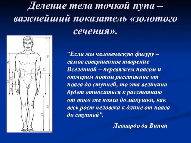 Деление тела точкой пупа – важнейший показатель «золотого сечения». “Если мы человеческую фигуру