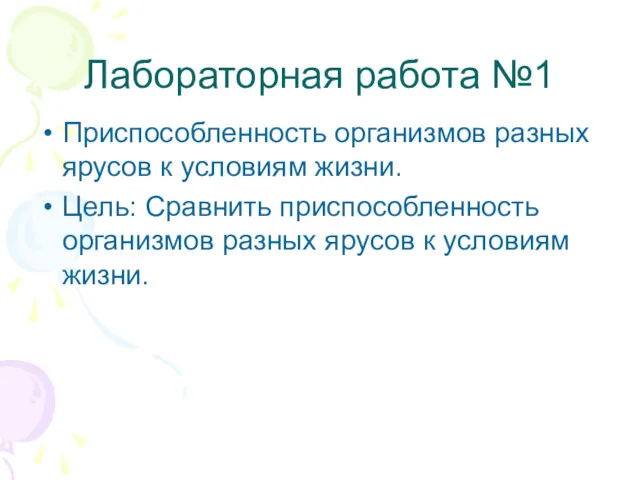 Лабораторная работа №1 Приспособленность организмов разных ярусов к условиям жизни.