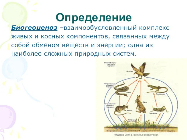 Определение Биогеоценоз –взаимообусловленный комплекс живых и косных компонентов, связанных между