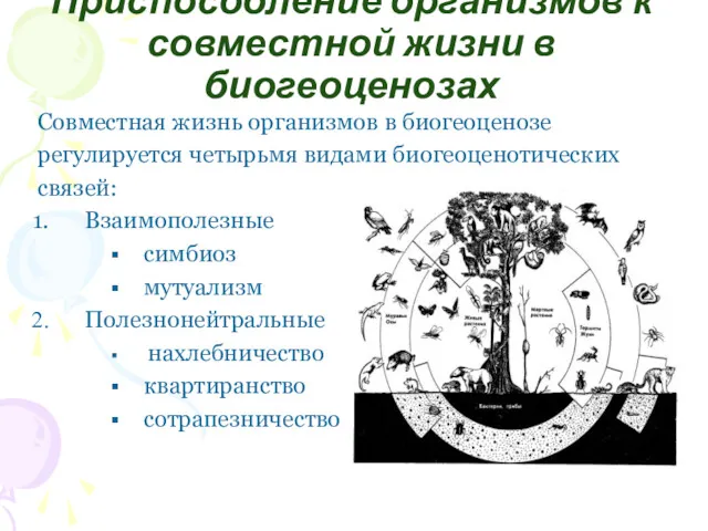 Приспособление организмов к совместной жизни в биогеоценозах Совместная жизнь организмов