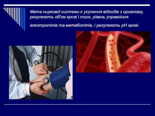 Мета ниркової системи є усунення відходів з організму, регулюють об'єм