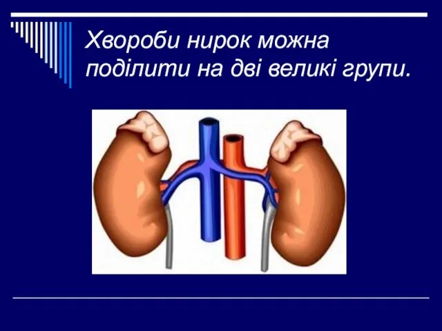 Хвороби нирок можна поділити на дві великі групи.