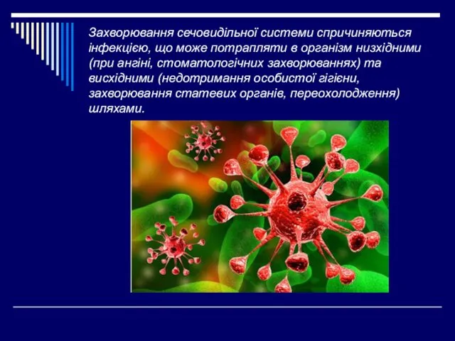 Захворювання сечовидільної системи спричиняються інфекцією, що може потрапляти в організм