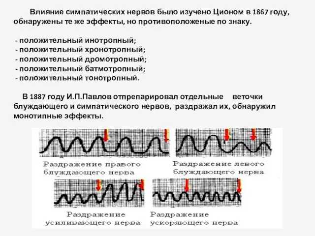 Влияние симпатических нервов было изучено Ционом в 1867 году, обнаружены те же эффекты,