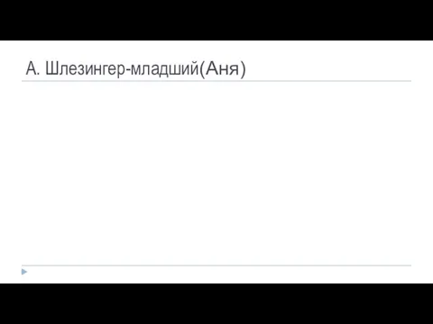 А. Шлезингер-младший(Аня)