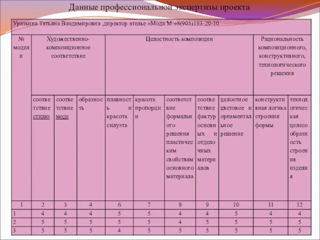 Данные профессиональной экспертизы проекта