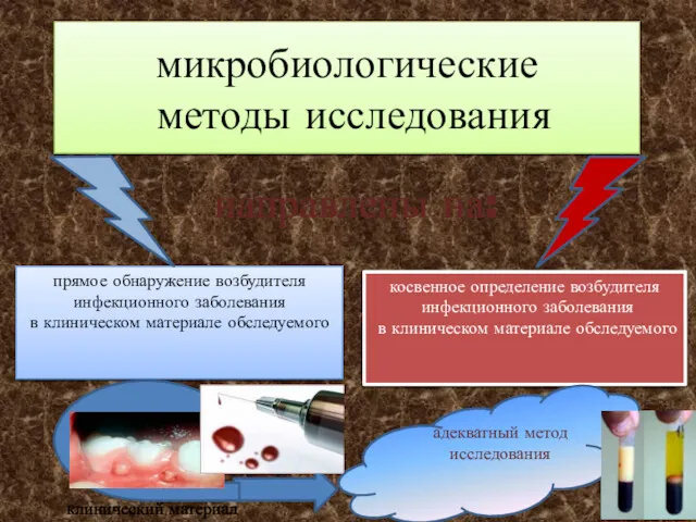 микробиологические методы исследования прямое обнаружение возбудителя инфекционного заболевания в клиническом