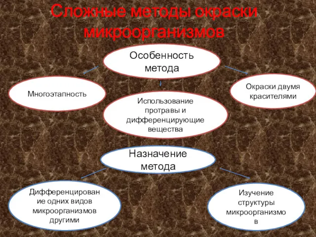 Сложные методы окраски микроорганизмов Особенность метода Многоэтапность Окраски двумя красителями