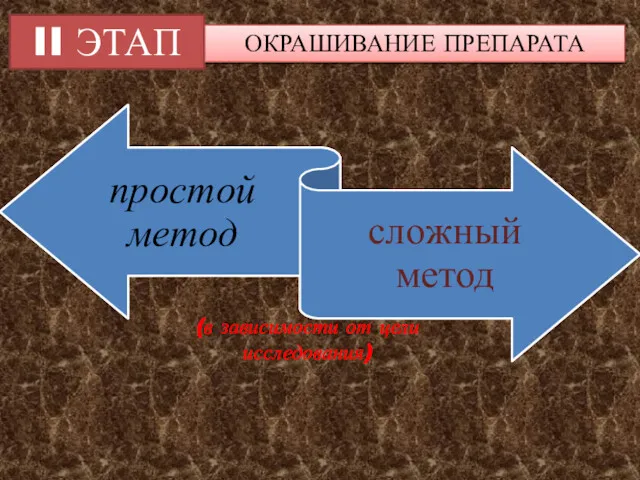 II ЭТАП ОКРАШИВАНИЕ ПРЕПАРАТА (в зависимости от цели исследования)