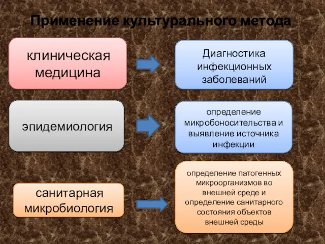 Применение культурального метода клиническая медицина эпидемиология Диагностика инфекционных заболеваний определение