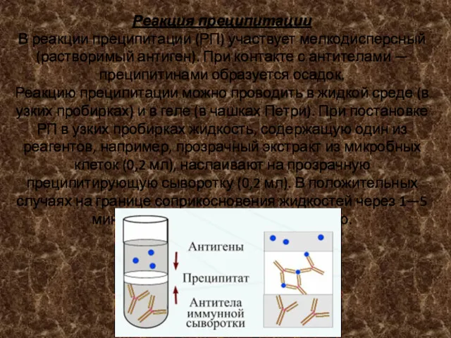 Реакция преципитации В реакции преципитации (РП) участвует мелкодисперсный (растворимый антиген).