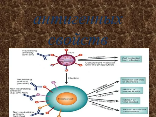 антигенных свойств