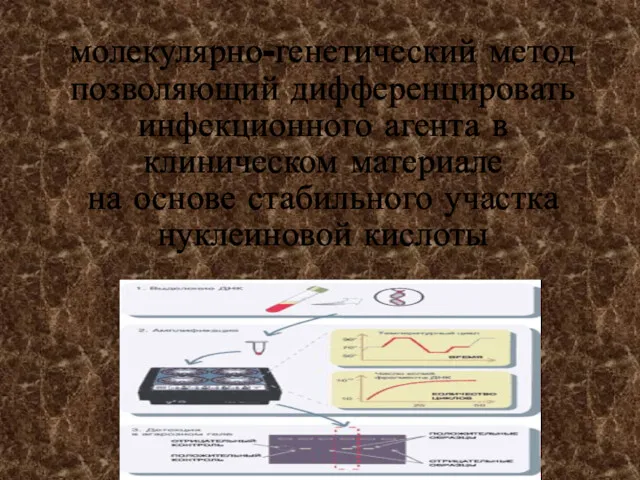 молекулярно-генетический метод позволяющий дифференцировать инфекционного агента в клиническом материале на основе стабильного участка нуклеиновой кислоты