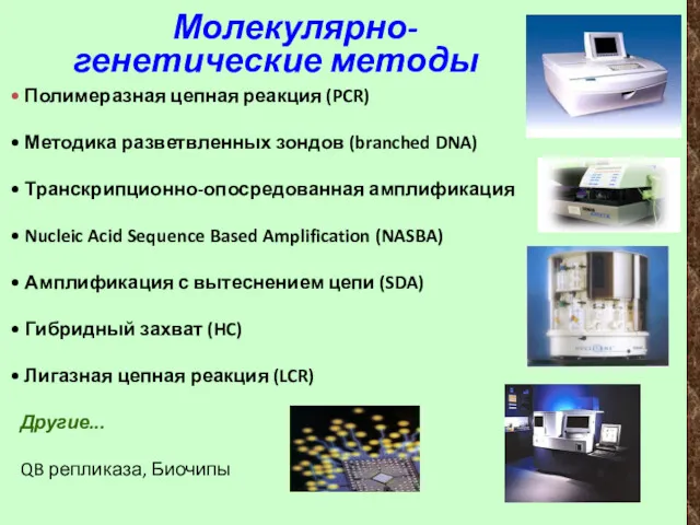 Молекулярно-генетические методы Полимеразная цепная реакция (PCR) Методика разветвленных зондов (branched