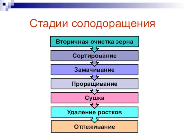 Отлеживание Удаление ростков Сушка Проращивание Замачивание Стадии солодоращения Сортирование Вторичная очистка зерна