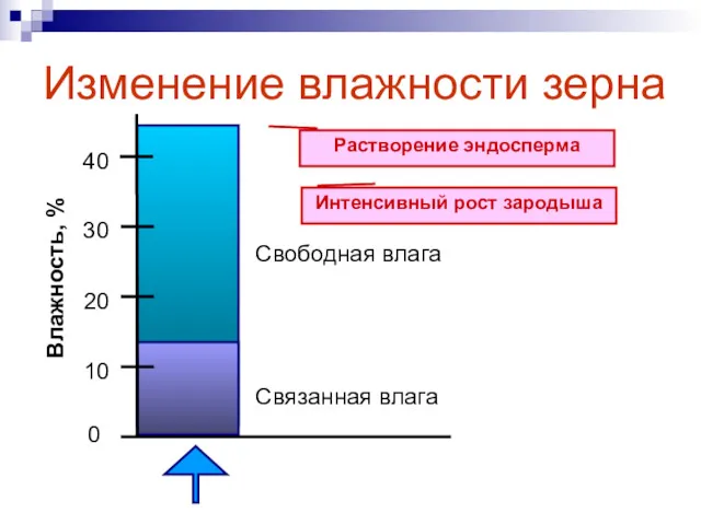 Изменение влажности зерна 10 20 30 40 Влажность, % 0