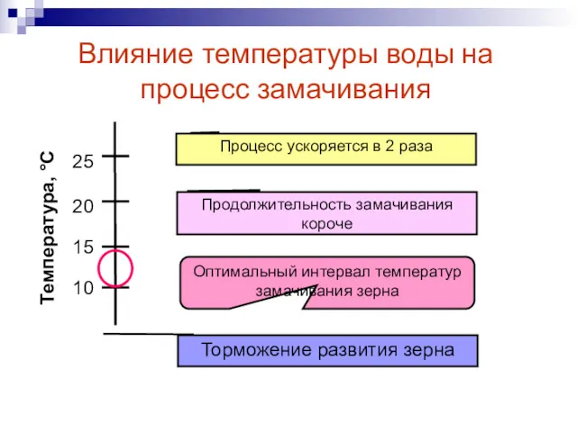 Влияние температуры воды на процесс замачивания 10 15 20 25