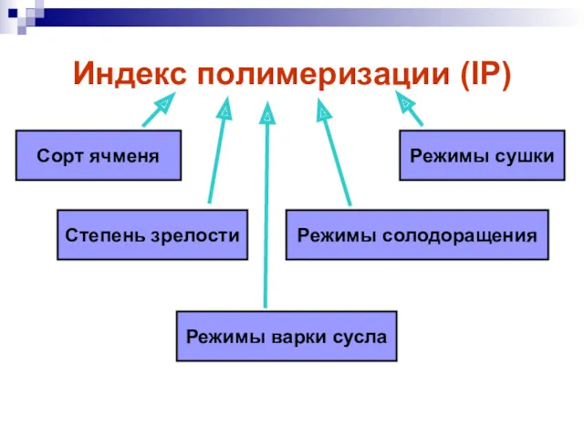 Индекс полимеризации (IP) Сорт ячменя Степень зрелости Режимы сушки Режимы варки сусла Режимы солодоращения