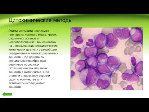 Цитохимические методы Этими методами исследуют препараты костного мозга, крови, различных