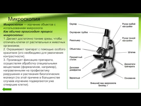 Микроскопия Микроскопия — изучение объектов с использованием микроскопа. Как обычно