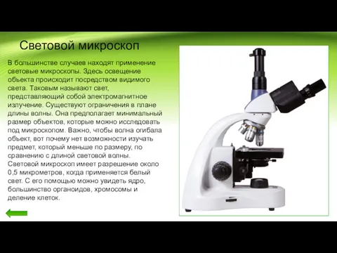 Световой микроскоп В большинстве случаев находят применение световые микроскопы. Здесь